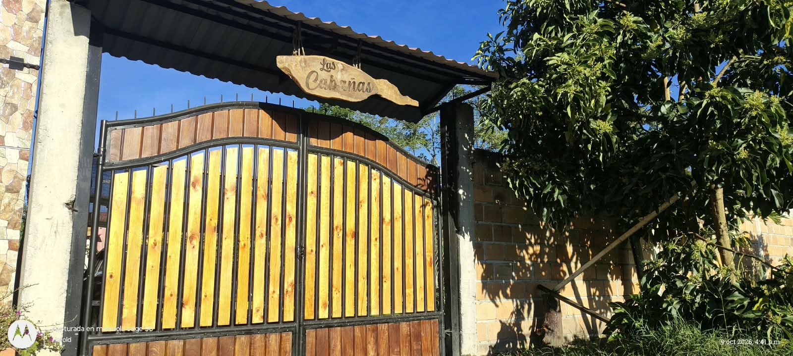 Donde la naturaleza abraza