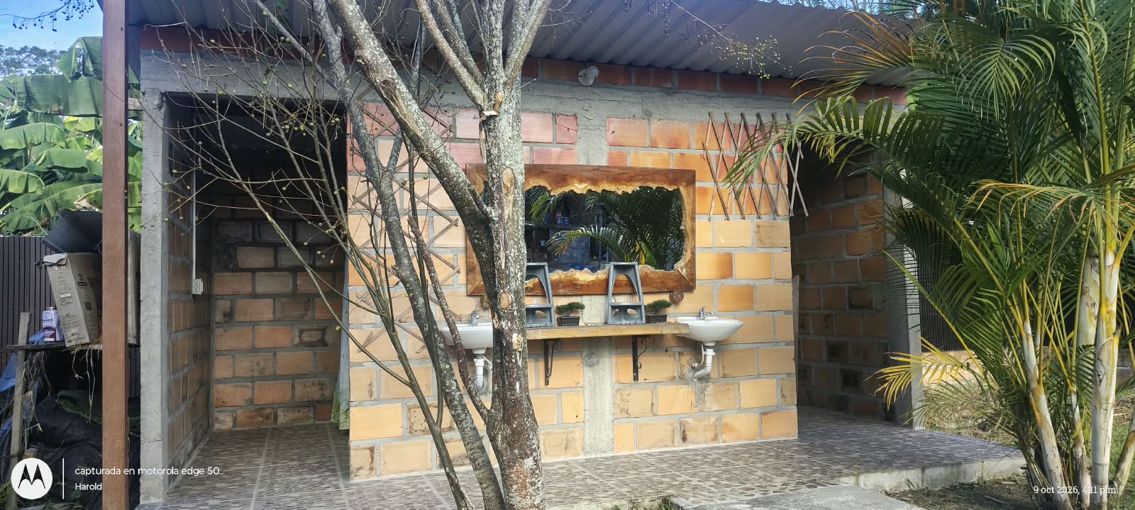 Raíces de Amor